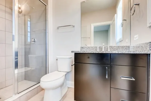 393 Woodland Chase Lane Vernon Hills il 11
