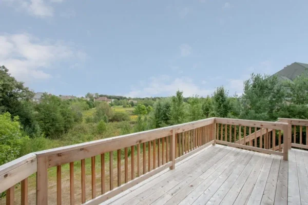 Savanna Court Kildeer 3